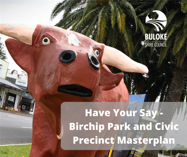 Birchip Town Plan