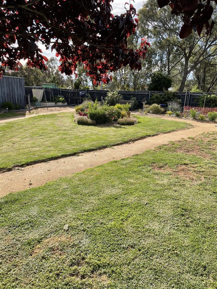 Photo of BO yard