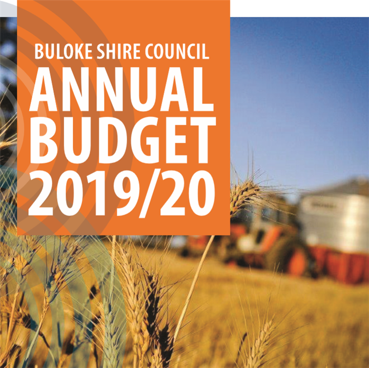 Annual Report 201920 snip