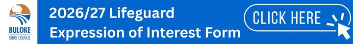 Lifeguards link to Expression of Interest