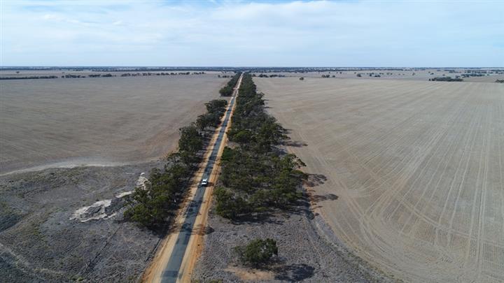 Watchem-Warracknabeal Road