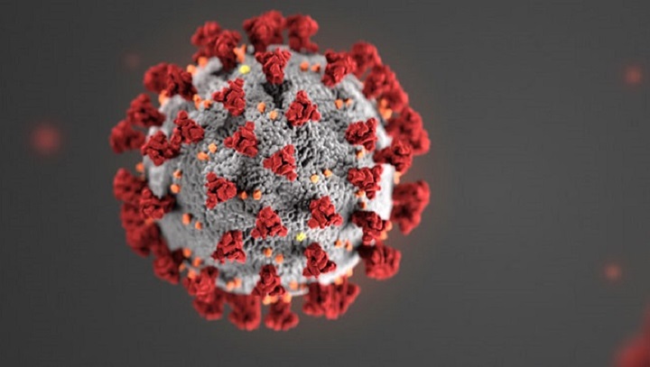Coronavirus Covid 19 Health Alert Buloke Shire Council