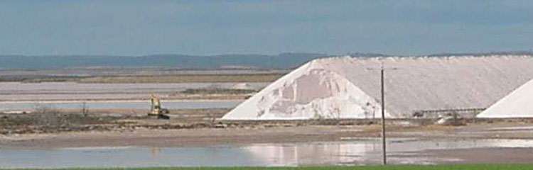 cheetamSalt