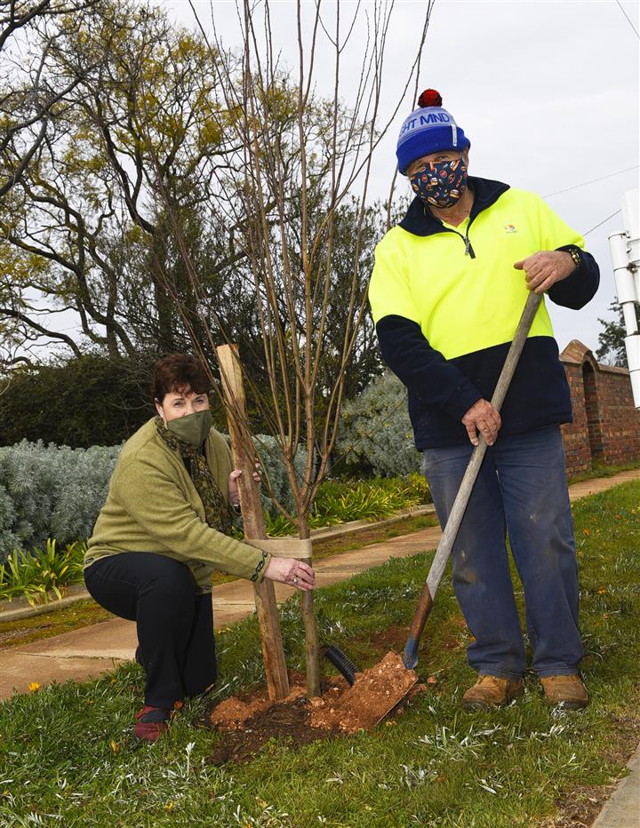 Charlton Tree Planting Photo